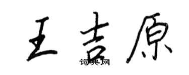 王正良王吉原行书个性签名怎么写