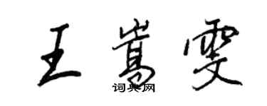 王正良王嵩雯行书个性签名怎么写