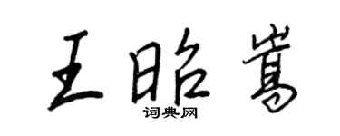 王正良王昭嵩行书个性签名怎么写