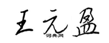 王正良王元盈行书个性签名怎么写
