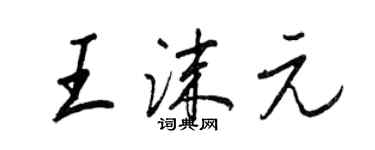 王正良王沫元行书个性签名怎么写