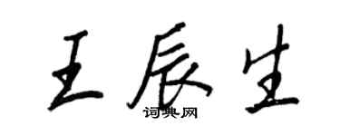王正良王辰生行书个性签名怎么写