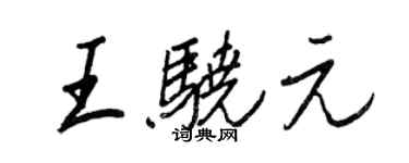 王正良王骁元行书个性签名怎么写
