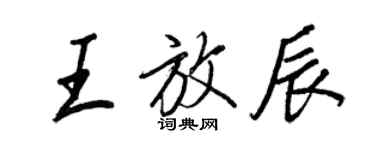 王正良王放辰行书个性签名怎么写