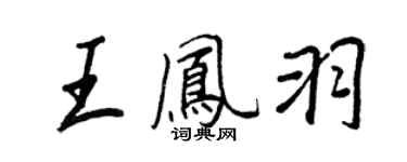 王正良王凤羽行书个性签名怎么写