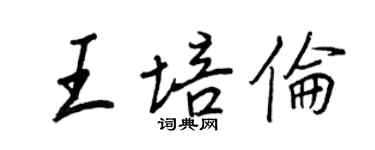 王正良王培伦行书个性签名怎么写
