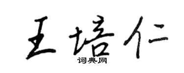 王正良王培仁行书个性签名怎么写