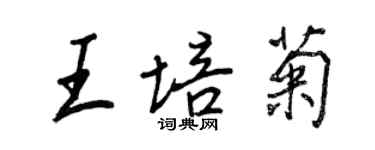 王正良王培菊行书个性签名怎么写