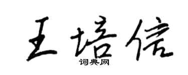 王正良王培信行书个性签名怎么写