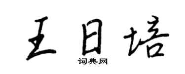 王正良王日培行书个性签名怎么写