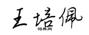 王正良王培佩行书个性签名怎么写