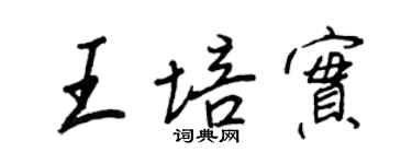 王正良王培实行书个性签名怎么写