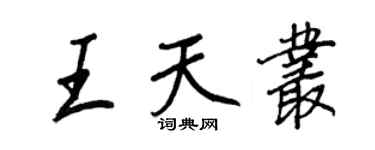 王正良王天丛行书个性签名怎么写