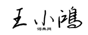 王正良王小鸿行书个性签名怎么写