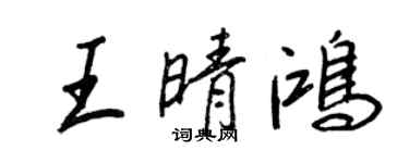 王正良王晴鸿行书个性签名怎么写