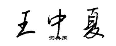 王正良王中夏行书个性签名怎么写