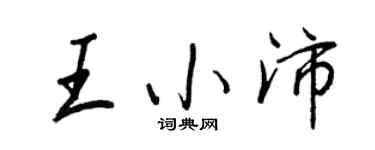 王正良王小沛行书个性签名怎么写