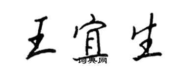 王正良王宜生行书个性签名怎么写