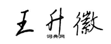 王正良王升徽行书个性签名怎么写