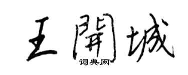 王正良王开城行书个性签名怎么写