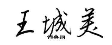 王正良王城美行书个性签名怎么写