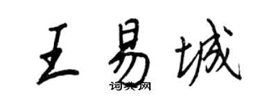王正良王易城行书个性签名怎么写
