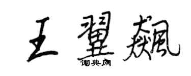王正良王翼飙行书个性签名怎么写