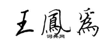 王正良王凤为行书个性签名怎么写