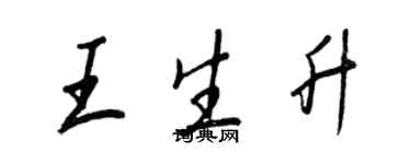 王正良王生升行书个性签名怎么写