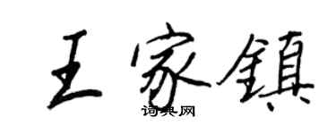 王正良王家镇行书个性签名怎么写