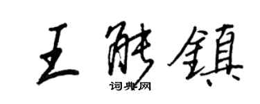 王正良王能镇行书个性签名怎么写