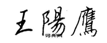 王正良王阳鹰行书个性签名怎么写