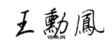 王正良王勋凤行书个性签名怎么写
