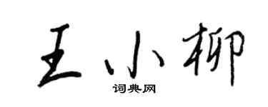 王正良王小柳行书个性签名怎么写