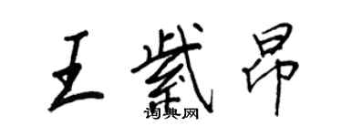王正良王紫昂行书个性签名怎么写