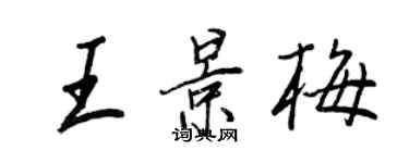 王正良王景梅行书个性签名怎么写