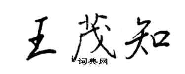 王正良王茂知行书个性签名怎么写