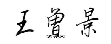 王正良王曾景行书个性签名怎么写