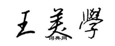王正良王美学行书个性签名怎么写