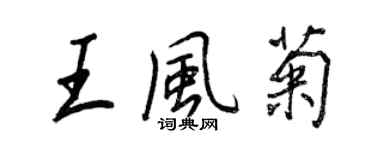 王正良王风菊行书个性签名怎么写