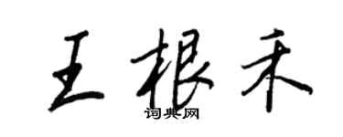 王正良王根禾行书个性签名怎么写