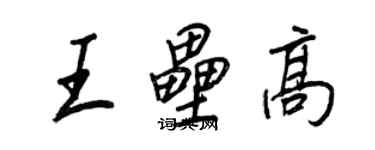 王正良王垒高行书个性签名怎么写