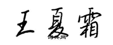 王正良王夏霜行书个性签名怎么写