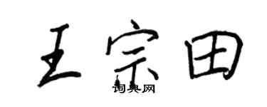王正良王宗田行书个性签名怎么写