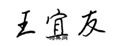 王正良王宜友行书个性签名怎么写