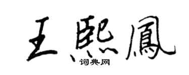 王正良王熙凤行书个性签名怎么写