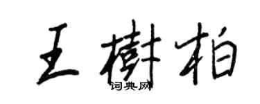 王正良王树柏行书个性签名怎么写