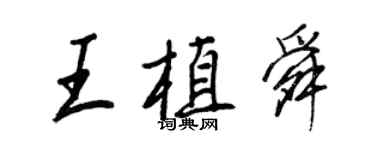 王正良王植舜行书个性签名怎么写