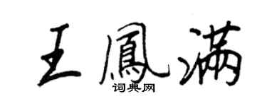 王正良王凤满行书个性签名怎么写