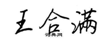 王正良王合满行书个性签名怎么写